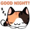 Morning & Night Cats 5
