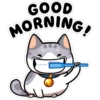 Morning & Night Cats 7