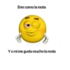 Nose 16