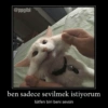 KediliPakıt 12