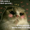 Michis con frases UwU🐱🍭🍨 17