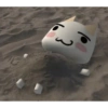 White cat 15
