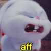 aff