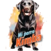 Dia del perro 4 10