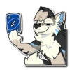 Furry 17