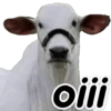 Memes aleatórios 😆🤭 14