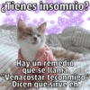 🐱🐾Mishis🐈🐈‍⬛Para Tu Crush💘😻 13