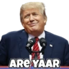 Donald Trump 13