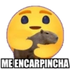 Carpinchos 16