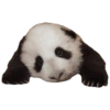 Memes sad 2 13