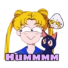 Sailor Moon Irônica 11
