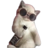 Gatitos 11