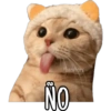 Gatitos 25
