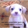 Nuevos pedidos  7