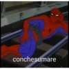 Spiderman meme 19
