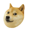 Memes de cachorros 17