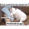 @sundram.saysss 15