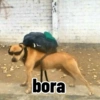 Oi feh rsrs 16