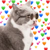 AMOR DE ANIMALITOS 12