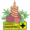 GROWING CHRISTMAS! 13