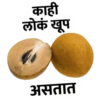 Marathi 5