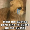 Gatitos SAD 😞 1 16