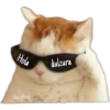 Gatitos 29