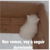 Nos vemos, voy a seguir durmiendo
