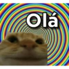 Respostas variadas pra vc usar 9