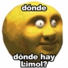 Limol Invierno 2023 9