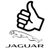 Jaguar Colombia 10