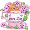 STOP Bom big