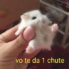 vo te da 1 chute