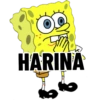 Bob esponja 13