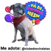 StickerAdoption  27