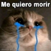 Gatitos SAD 😞 1 10