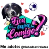 StickerAdoption  28