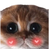 >