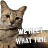 WE MEET WHAT TIME