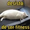 MEMES PARA COMPARTILHAR  12