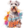 Dia del perro 4 13