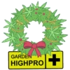 GROWING CHRISTMAS! 11