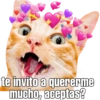 Gatitos amorosos. 13