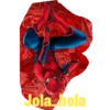 Memes del pro 21