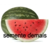 Memes aleatórios 20