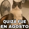 🐱 El Gatito Tuyo Que Tenía 😿 9