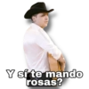 Y sí? 29