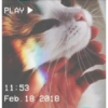 Gatitos tiernos :3 28