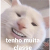 Gatinhos apaixonados fofos 18