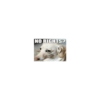 Homophobic dog 10